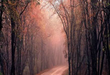 东京FC主场大败，小组出线形势严峻