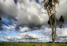 切沃客场不敌对手，保级形势严峻