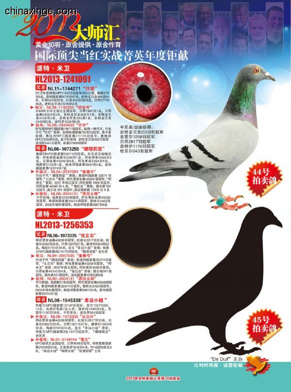关于欧洲精英选手再获奖牌,表现受注目的信息