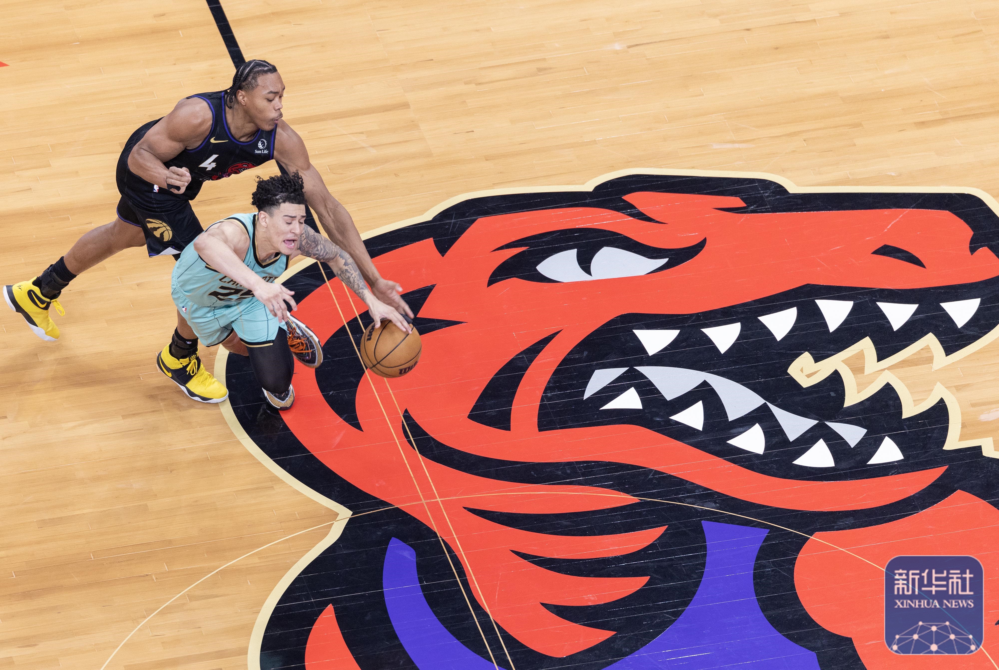 关于猛龙大胜凯尔特人,东部决赛紧张开打的信息 关于猛龙大胜凯尔特人,东部决赛紧张开打的信息