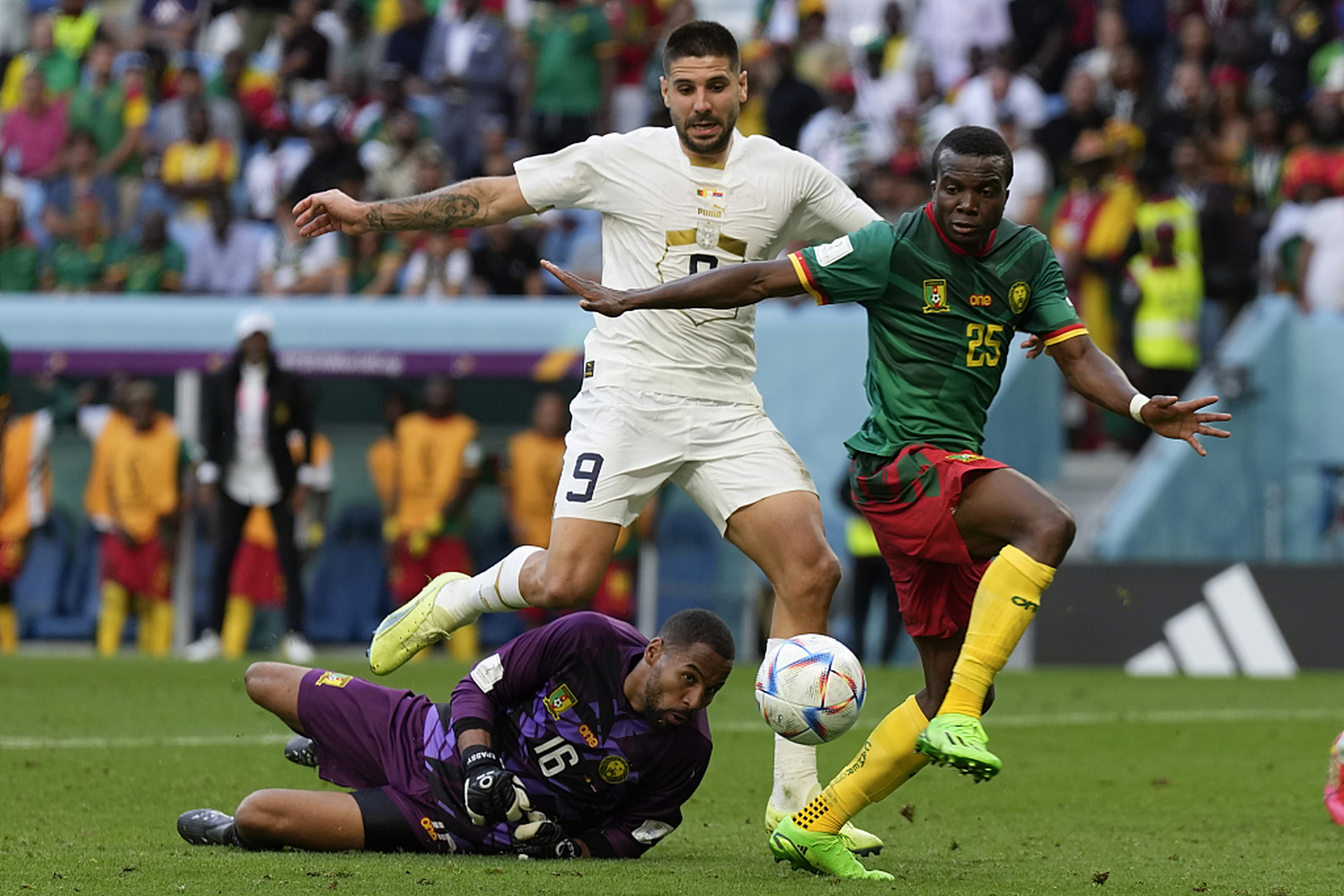 喀麦隆队在本场比赛中大获全胜