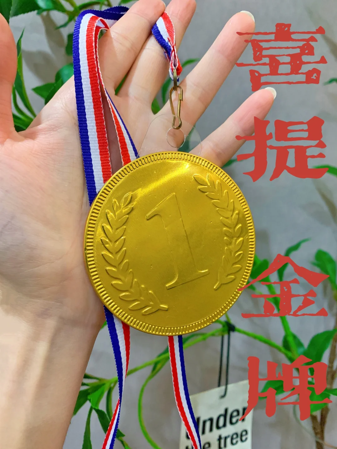 人生高空：争夺金牌令人震撼的简单介绍